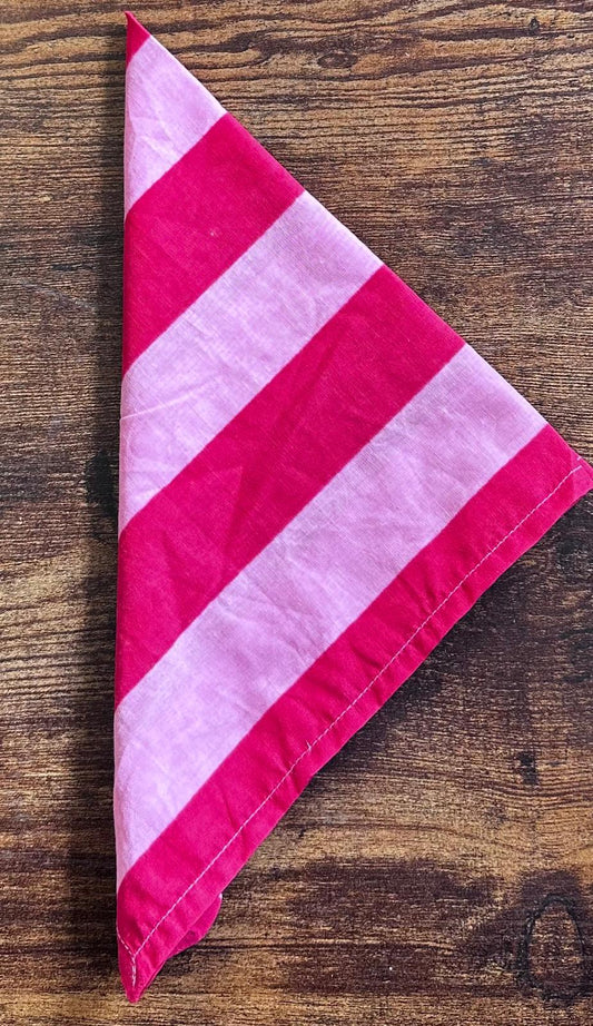 Everyday Charm: Cotton Napkins Elegant Stripe Pink Red